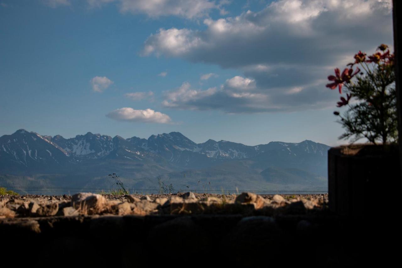 Pokoje W Gliczarowie エクステリア 写真